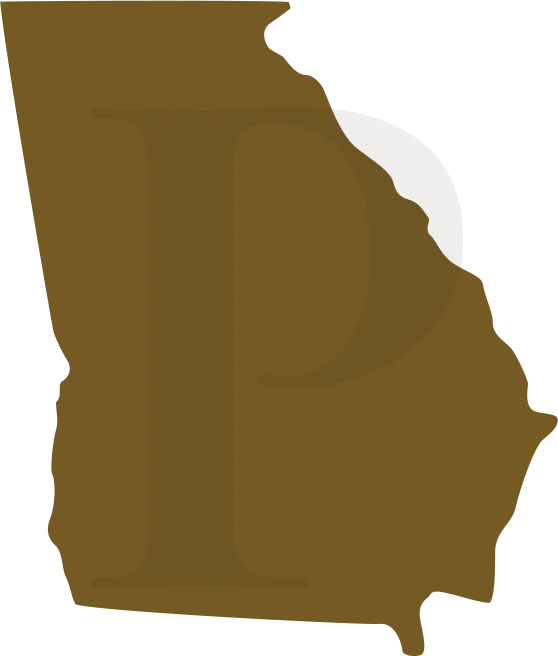 Georgia legal insight